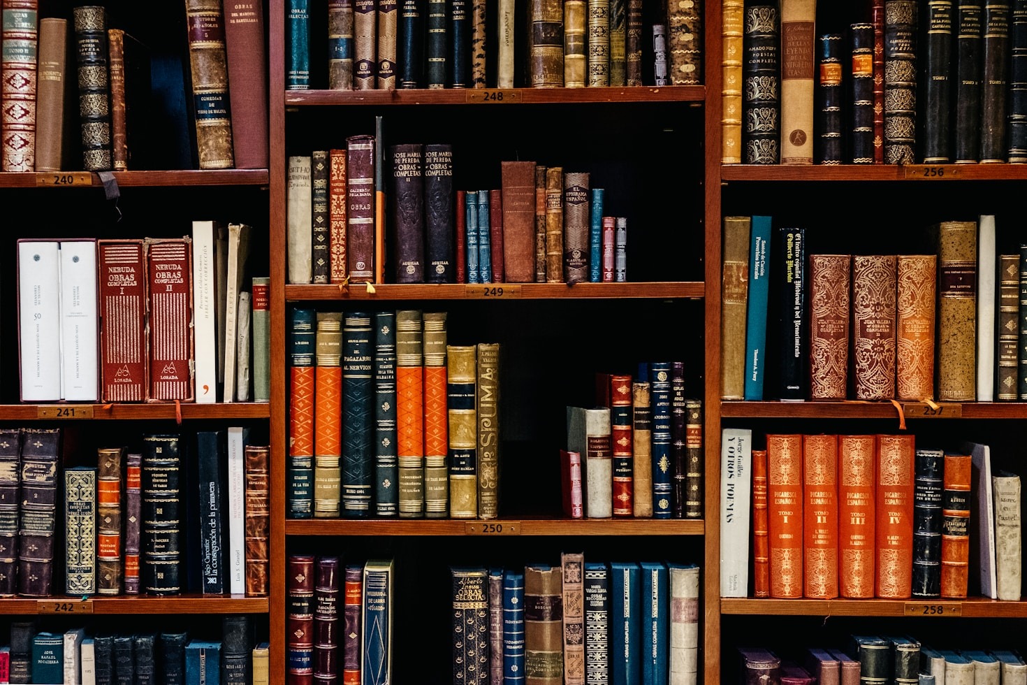 O Impacto da Leitura na Memória